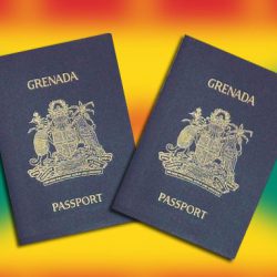 Định cư Grenada: Nên đầu tư dự án bất động sản từ $220,000 hay từ $350,000?