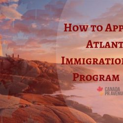 Định cư AIP: Atlantic Immigration Pilot - P. 3: Đơn xin nhập cư và hỗ trợ sau khi đến