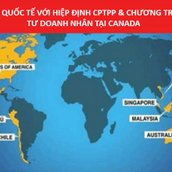 Chương trình đầu tư doanh nhân tại Canada cùng hội nhập quốc tế với Hiệp định CPTPP