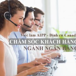 Định cư Canada chương trình AIPP: Việc làm chăm sóc khách hàng ngành ngân hàng