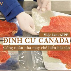 Định cư Canada - Việc làm AIPP tháng 9/2020: Công nhân nhà máy chế biến hải sản