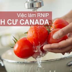 Việc làm RNIP Định cư Canada: Phụ bếp nhà hàng tại bang British Columbia