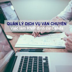 Việc làm định cư Canada năm 2020: Quản lý điều phối dịch vụ vận chuyển bang Ontario