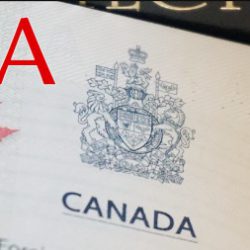 Định cư Canada LMIA - Chương trình Chủ Sở hữu / Người Điều hành