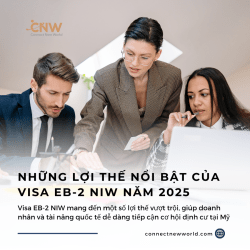 VISA EB2 NIW